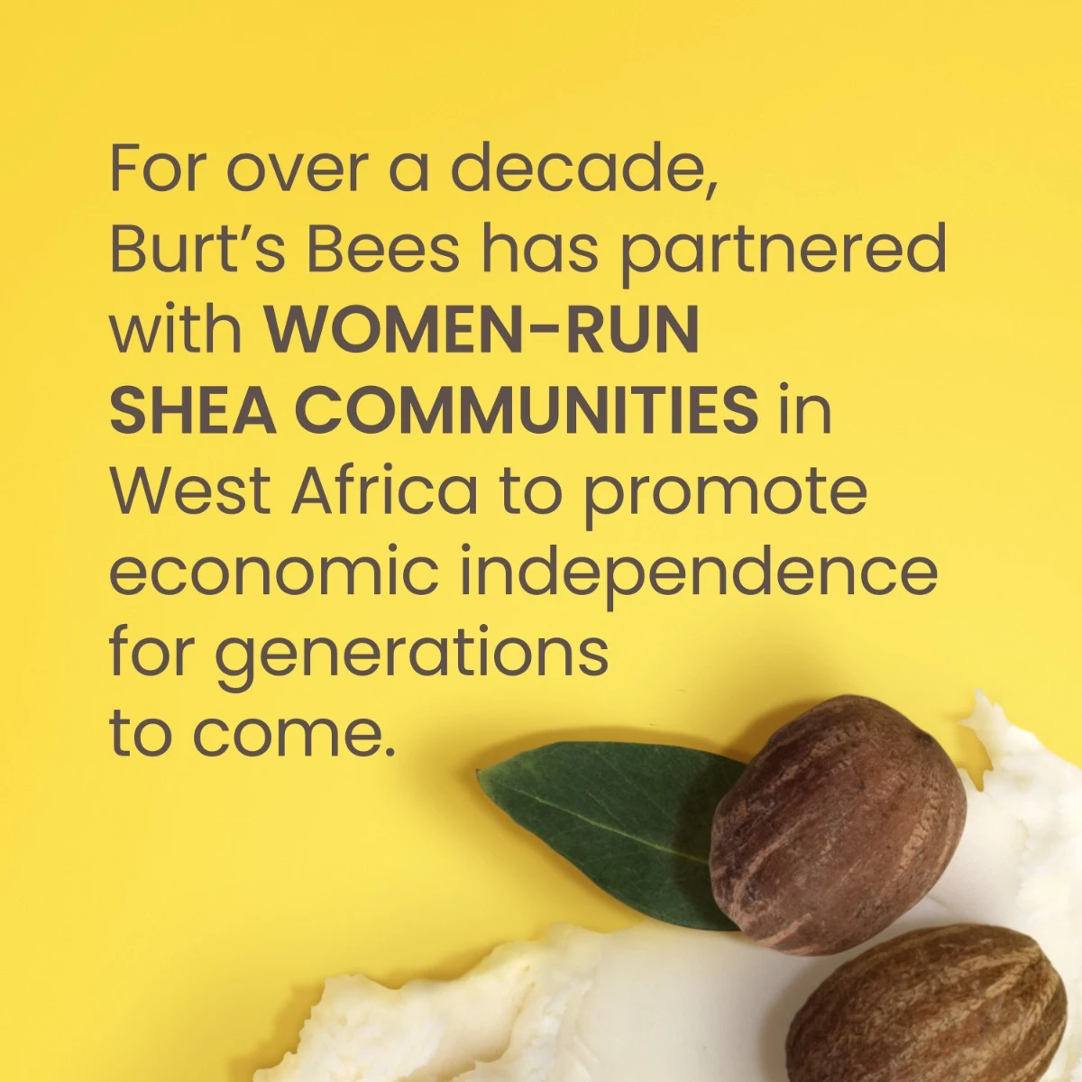 97-shea-cocoa-butter-moisturizing-lip-balm-5.webp Shea + Cocoa Butter Moisturizing Lip Balm